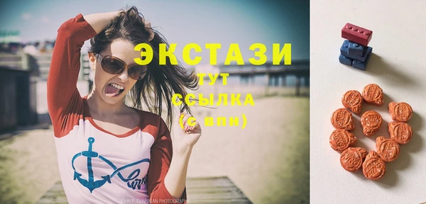 мдпв Богородск