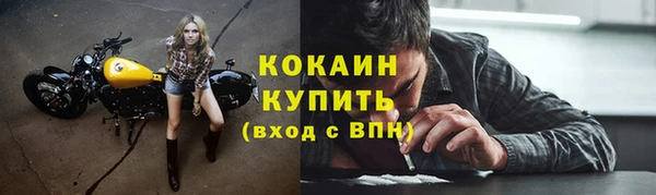 мдпв Богородск