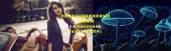 метамфетамин Богданович