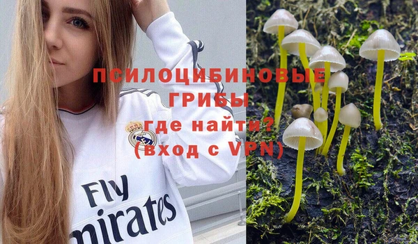 метамфетамин Богданович