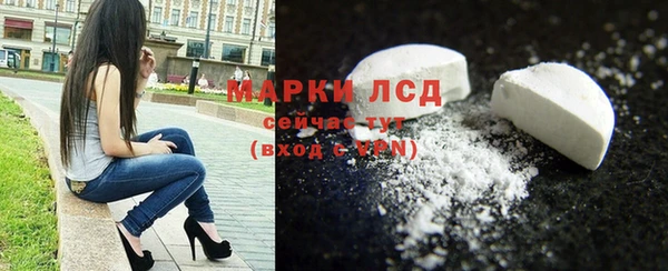 мдпв Богородск