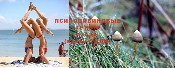 метамфетамин Богданович
